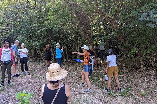 Quindaro Ruins Urban Hike - Practical Details and Value
