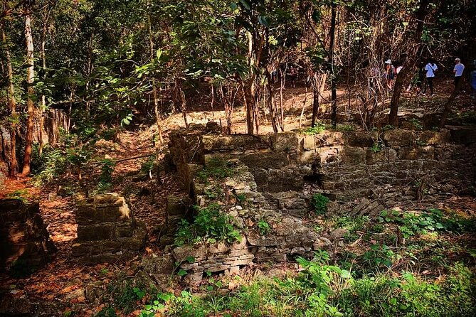 Quindaro Ruins Urban Hike - The Sum Up