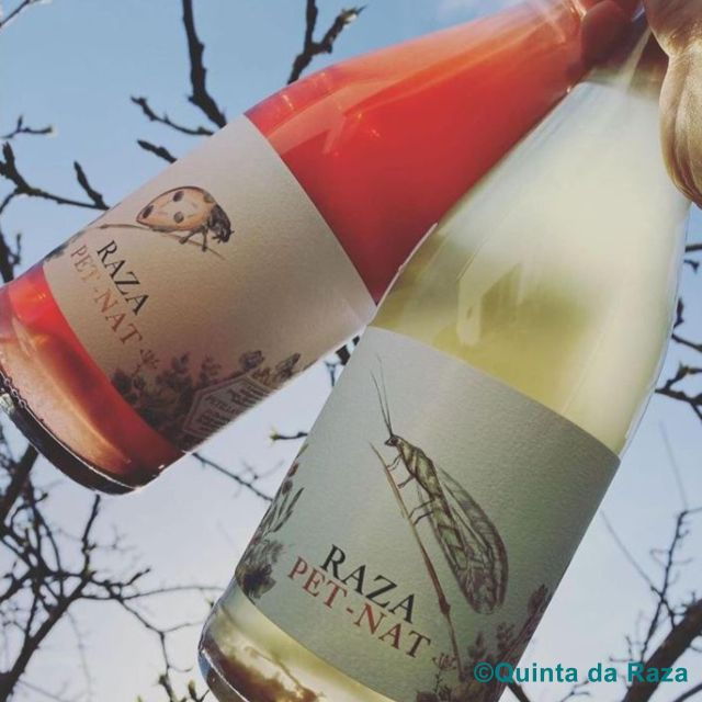 Quinta Da Raza Natural Wines - Wine Tasting Experience at Quinta Da Raza