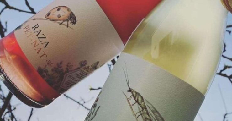 Quinta Da Raza Natural Wines - Tour Guide Language Options