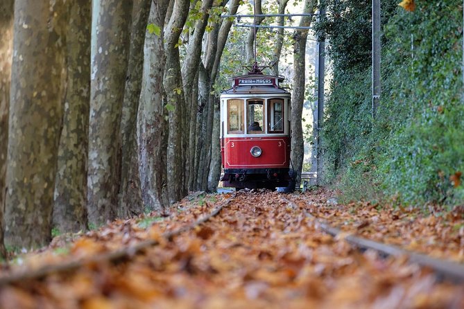 Quinta Da Regaleira and Wine Tasting in Sintra * All Inclusive - Quinta Da Regaleira Admission