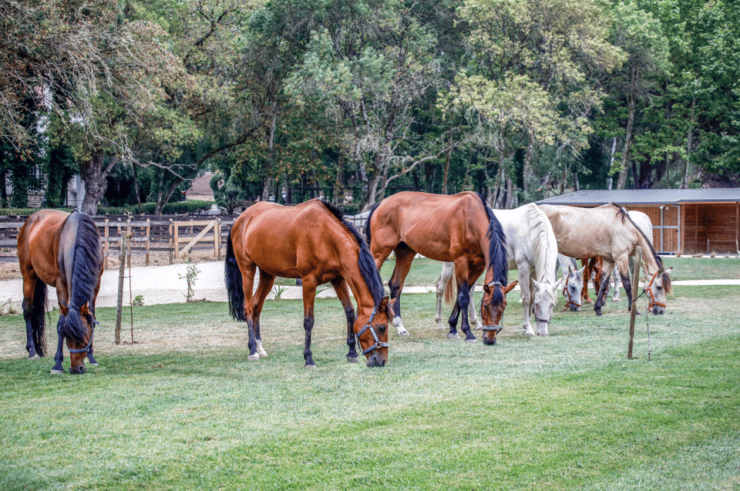 Quinta Das Murgas: Wine Tasting Tour - Pricing and Reservations