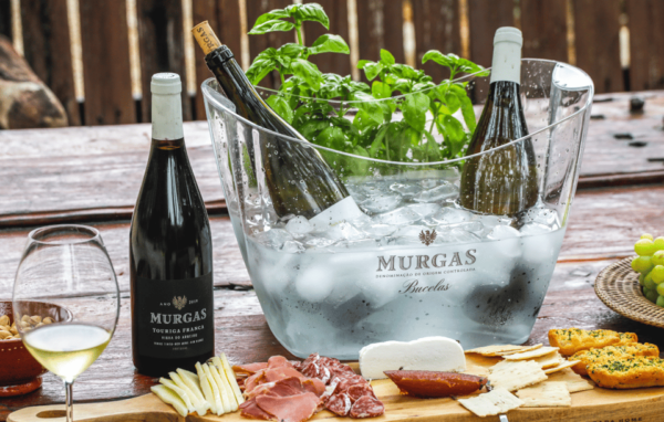Quinta Das Murgas: Wine Tasting Tour - Accessibility Features