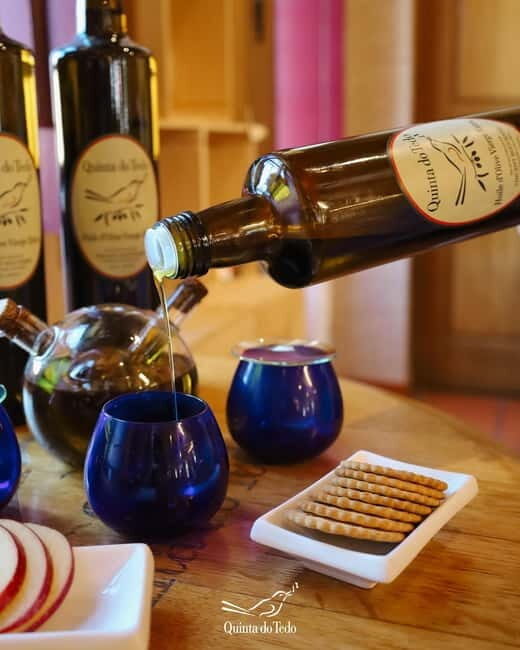 Quinta do Tedo: Olive Oil Tasting - Exploring Quinta do Tedo: A Closer Look