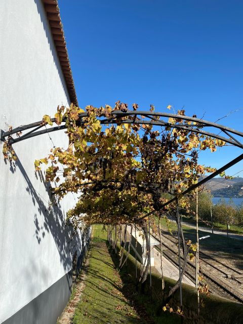 Quinta Dos Murças: Train, Walking, Lunch and Wine Tasting - Activity Itinerary Highlights