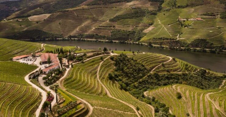 Quinta Nova: Douro Reserve Tasting With Guided Tour - Booking Details