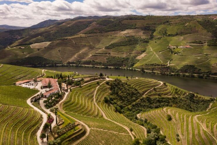 Quinta Nova: Douro Reserve Wine Tour & Tasting - Tour Duration and Guide Information