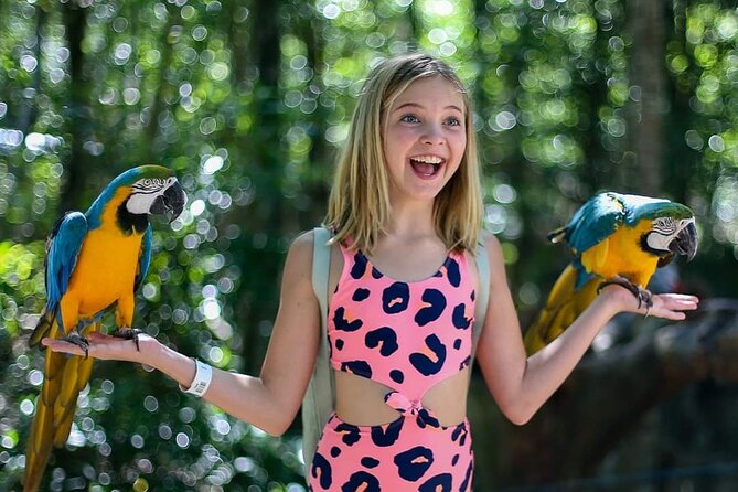 Quintana Roo Akumal Monkey Sanctuary Admission  - Playa Del Carmen - Animal Species at the Sanctuary