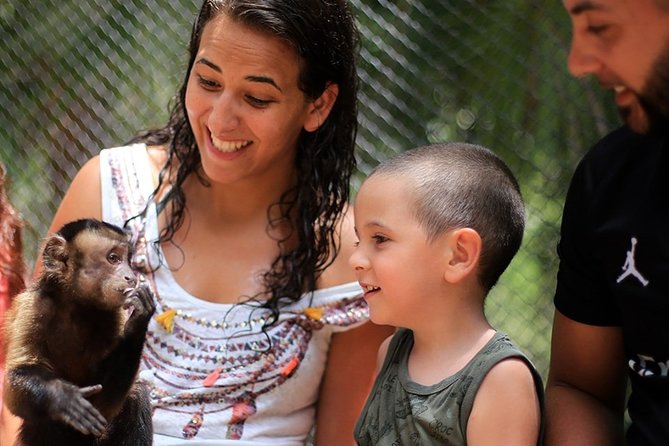 Quintana Roo Akumal Monkey Sanctuary Admission  - Playa Del Carmen - What To Expect on the Tour