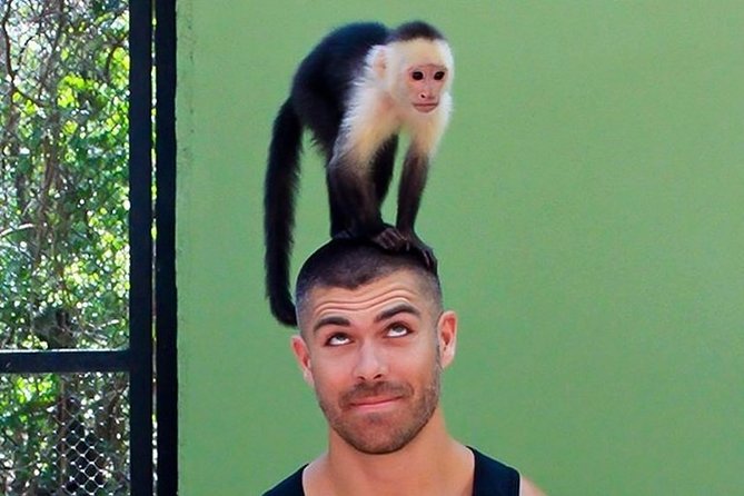 Quintana Roo Akumal Monkey Sanctuary Admission  - Playa Del Carmen - Common Questions