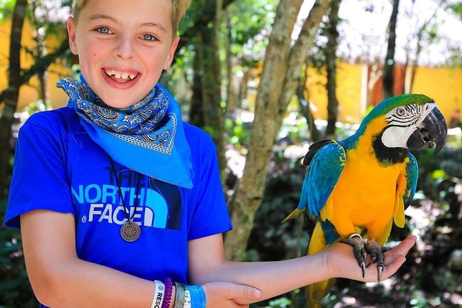 Quintana Roo Akumal Monkey Sanctuary Admission  - Playa Del Carmen - The Sum Up