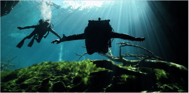Quintana Roo: Cenote Dive - Booking Process