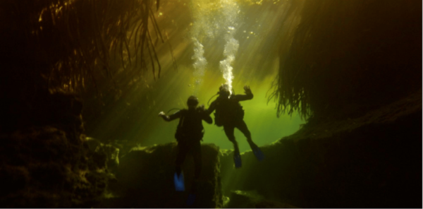 Quintana Roo: Cenote Dive - Additional Information