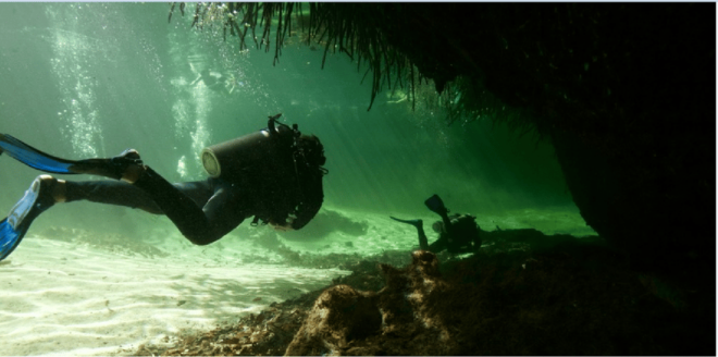 Quintana Roo: Cenote Dive - Whats Included