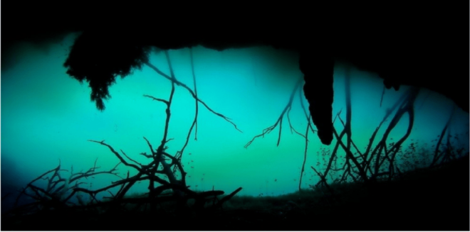 Quintana Roo: Cenote Dive - Booking Process