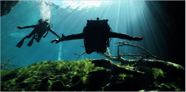Quintana Roo: Cenote Dive - Price and Cancellation