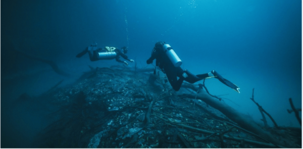 Quintana Roo: Cenote Dive - Frequently Asked Questions