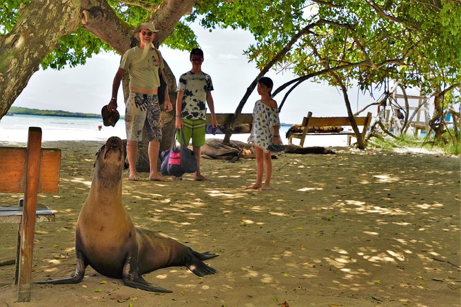 Quito, Ecuador 9-Night Galapagos Islands Multisport Tour - Tour Highlights
