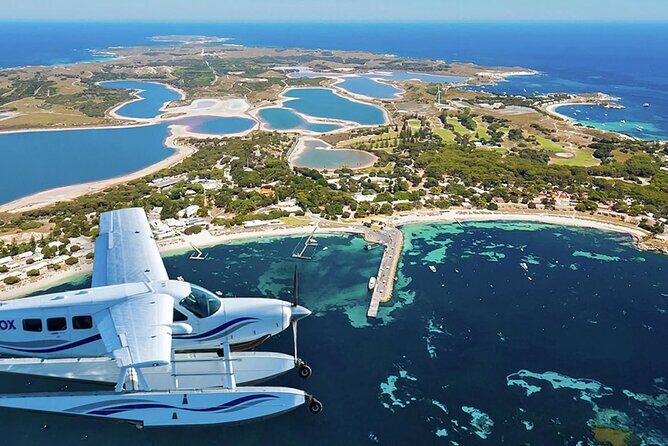 Quokkas Delight Rottnest Island - Good To Know