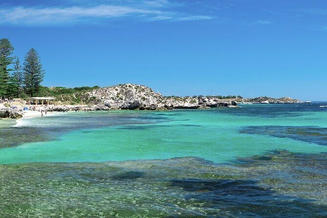 Quokkas Delight Rottnest Island - A comprehensive look at the Quokkas Delight Rottnest Island Tour