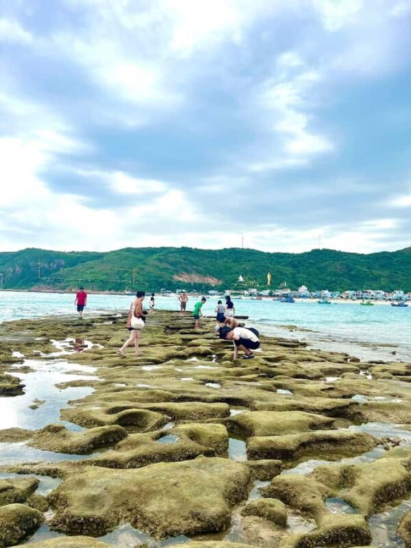 Quy Nhon Ky Co Beach, Eo Gio & Nhon Ly Village Full-Day Tour - FAQs