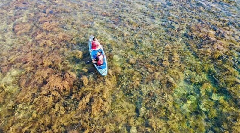 Quy Nhon Ky Co Beach, Eo Gio & Nhon Ly Village Full-Day Tour - What We Loved and What to Keep in Mind