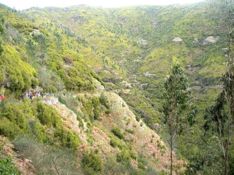 Rabaçal: 25 Fontes & Risco Levada Hiking Transfer - Good To Know