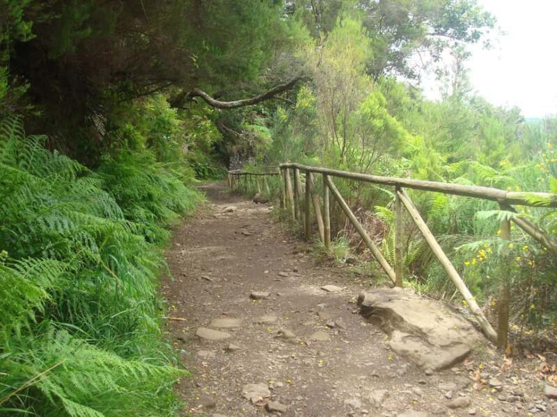 Rabaçal: 25 Fontes & Risco Levada Hiking Transfer - Who Is This Tour Best For?