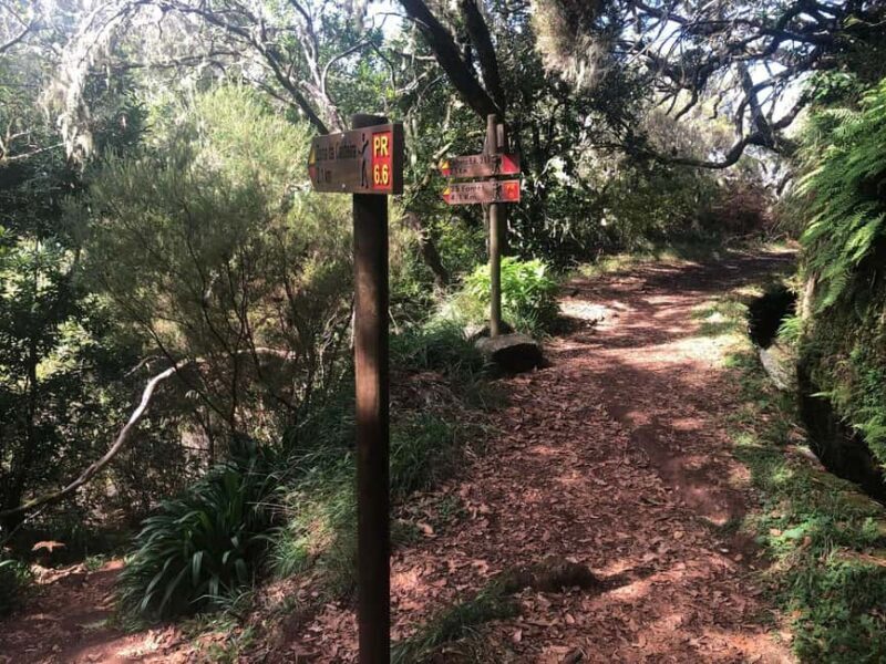 Rabaçal: 25 Fontes & Risco Levada Hiking Transfer - Final Thoughts