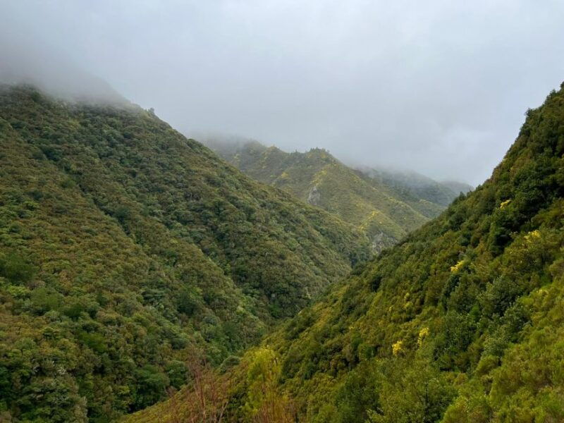 Rabaçal: 25 Fontes & Risco Levada Transfer Self-guided Hike - FAQ