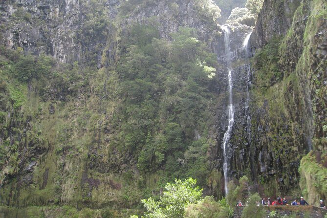 Rabacal Small-Group Half-Day Levada Walk - Madeira - Overview of Rabacal Small-Group Half-Day Levada Walk