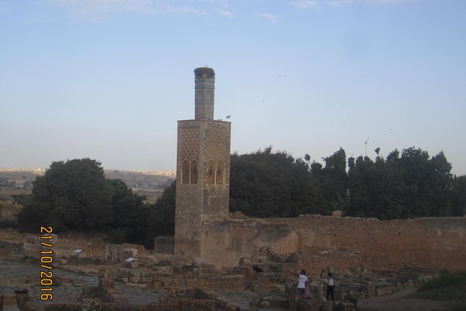 Rabat Cruise Excursion From Casablanca Port - Sightseeing Opportunities
