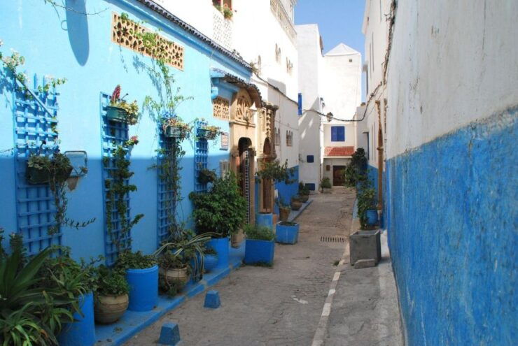 Rabat Private Walking Tour - Tour Experience Highlights