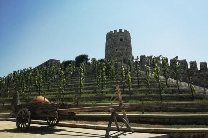 Rabati-Borjomi Private Day Tour - Weather and Cancellation Policies