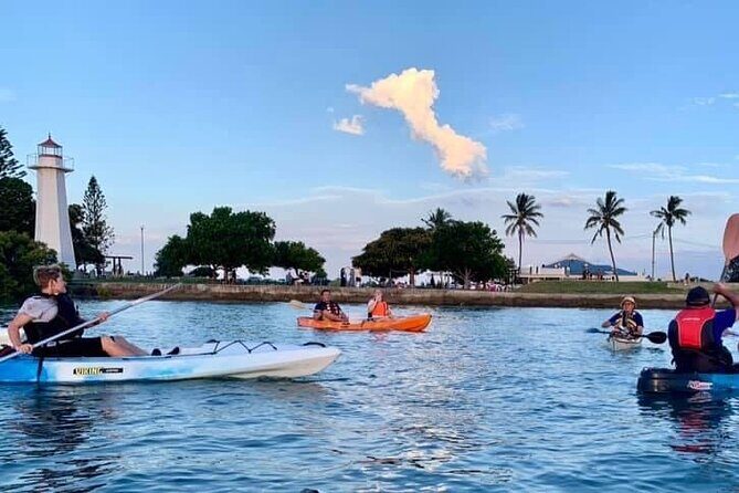 Raby Bay Wildlife Kayak Tour - A Closer Look at the Raby Bay Wildlife Kayak Tour