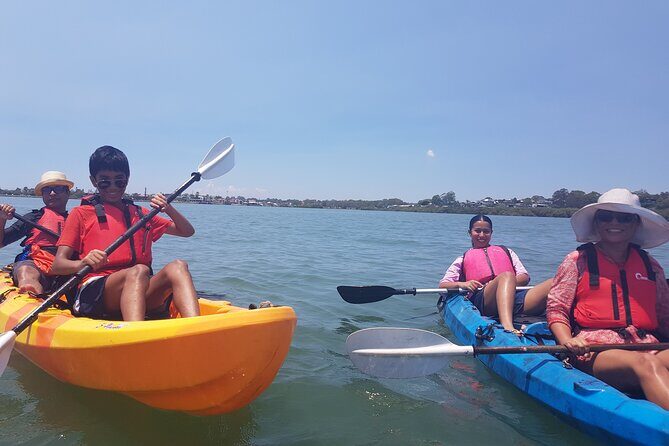 Raby Bay Wildlife Kayak Tour - Frequently Asked Questions