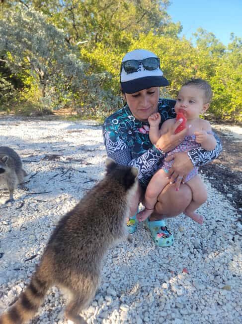 Raccoon Island: Exploration on SUP/Kayak - Good To Know