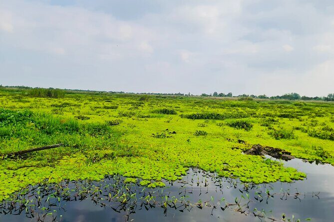 Rach Gia City: U Minh Thuong Forest and Pineapple Village Tour - Final Thoughts