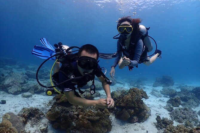 Racha and Coral Islands Scuba Tour by Speedboat from Phuket - The Sum Up: Who Should Consider This Tour?
