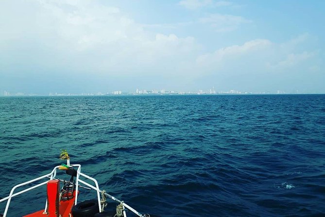 Racha & Coral Island Day Trip by Speedboat - Lunch Included - Pricing and Terms