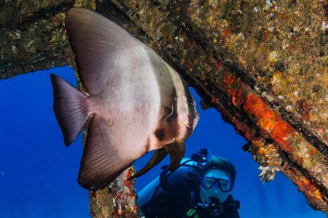 Racha Noi and Racha Yai Dive Trip From Phuket - Common Questions