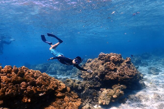 Racha Noi Island Racha Yai Island Maiton Island by Speedboat - Catamaran Comforts