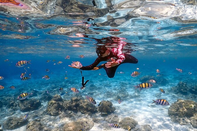 Racha Noi Island Racha Yai Island Maiton Island by Speedboat - Inclusions and Exclusions