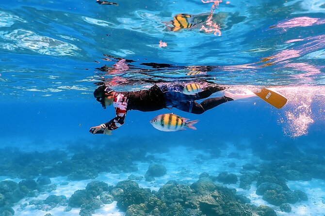 Racha Noi Island Racha Yai Island Maiton Island by Speedboat - The Sum Up