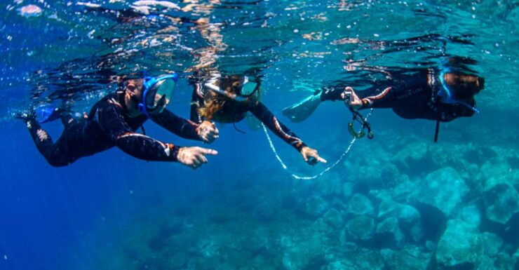 Radazul: Family-Friendly Snorkeling Tour - Good To Know