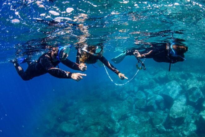 Radazul: Family-Friendly Snorkeling Tour - Participant Information