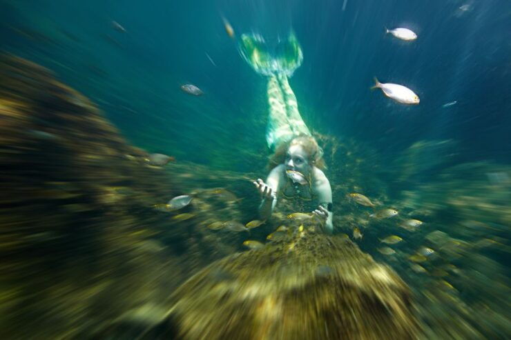 Radazul: Mermaid Experience and Photo Shoot - Location Details