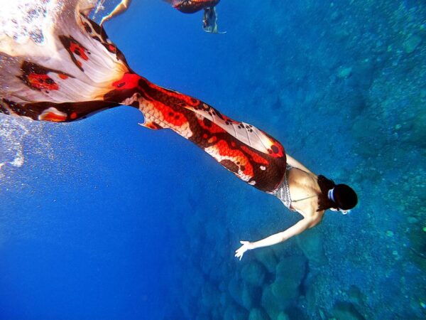 Radazul: Mermaid Experience and Photo Shoot - Booking Information