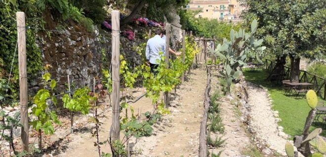 Radici: Iimmerse Yourself in the Heady Scents of Our Garden - Pricing and Booking