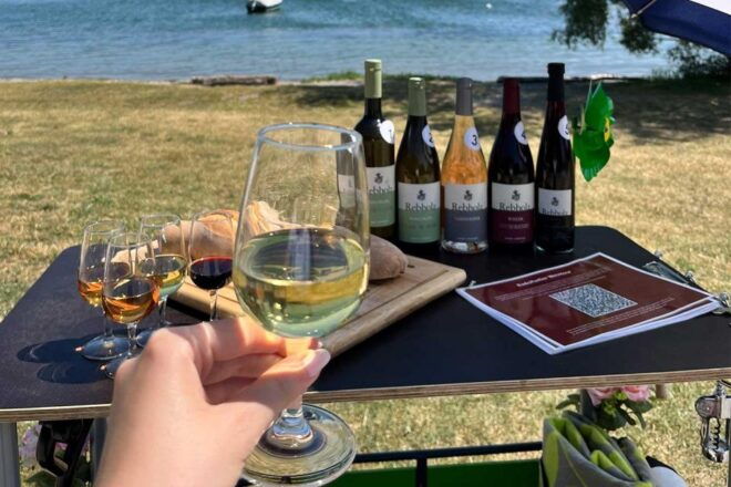 Radolfzell Lakeshore: DIY Wine Tasting With Wagon Hiking - Location Information